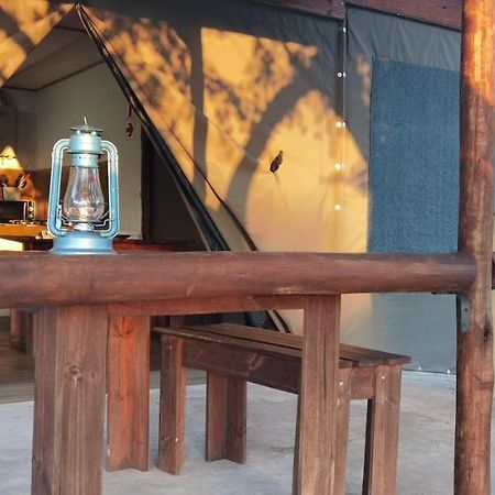 Kingfisher Bush Lodge Enkovukeni 外观 照片
