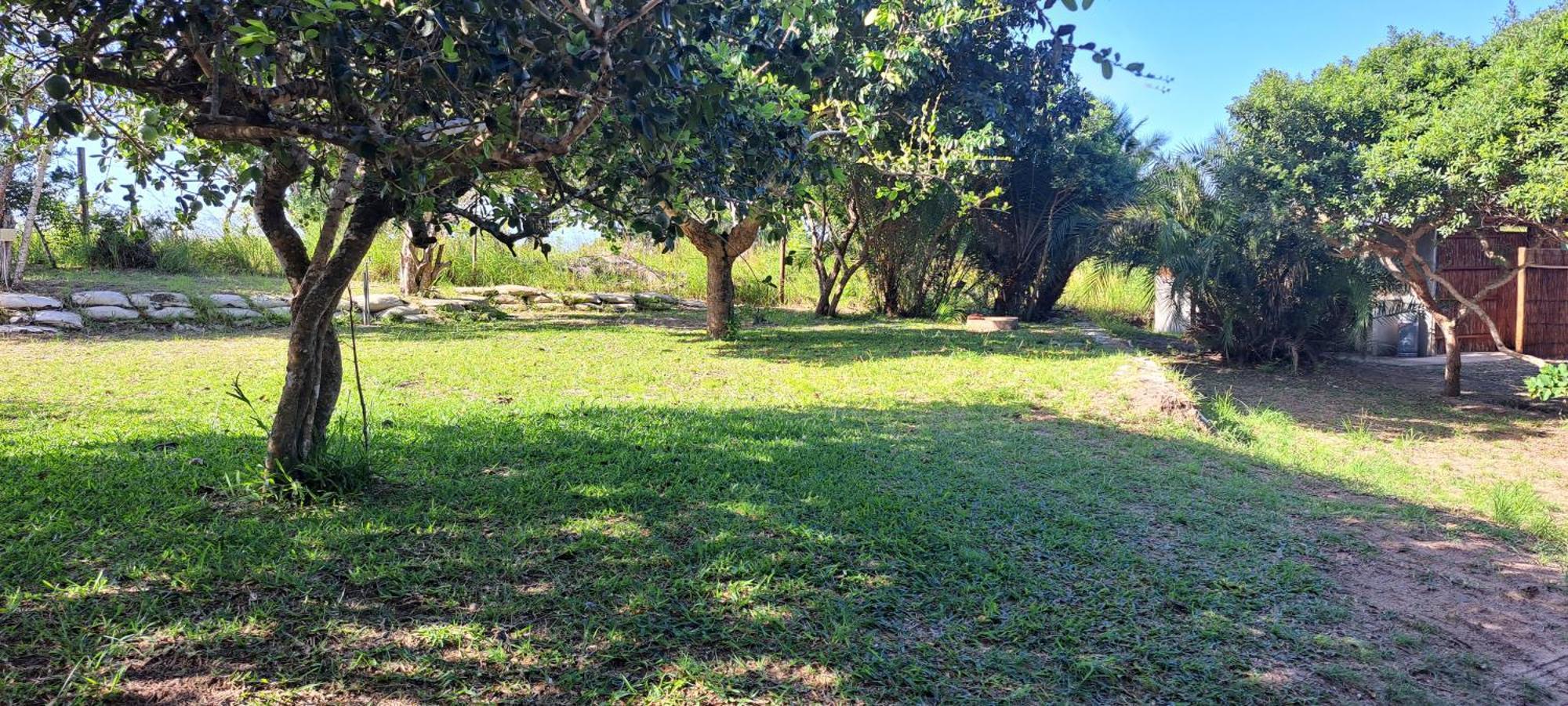 Kingfisher Bush Lodge Enkovukeni 客房 照片