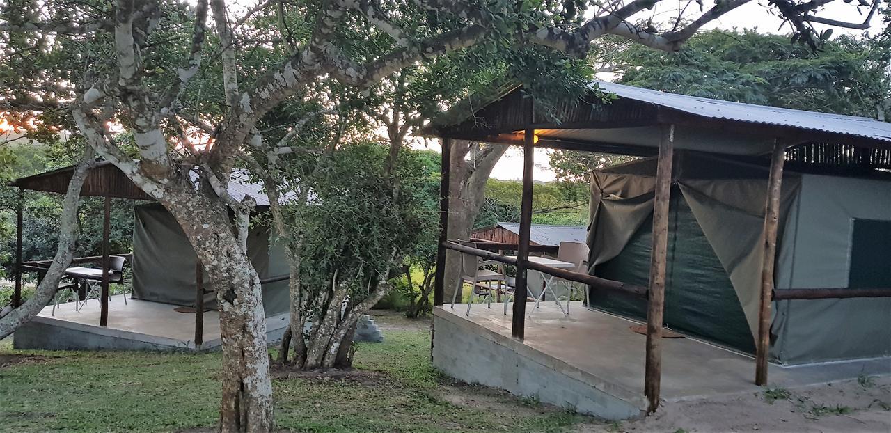 Kingfisher Bush Lodge Enkovukeni 外观 照片