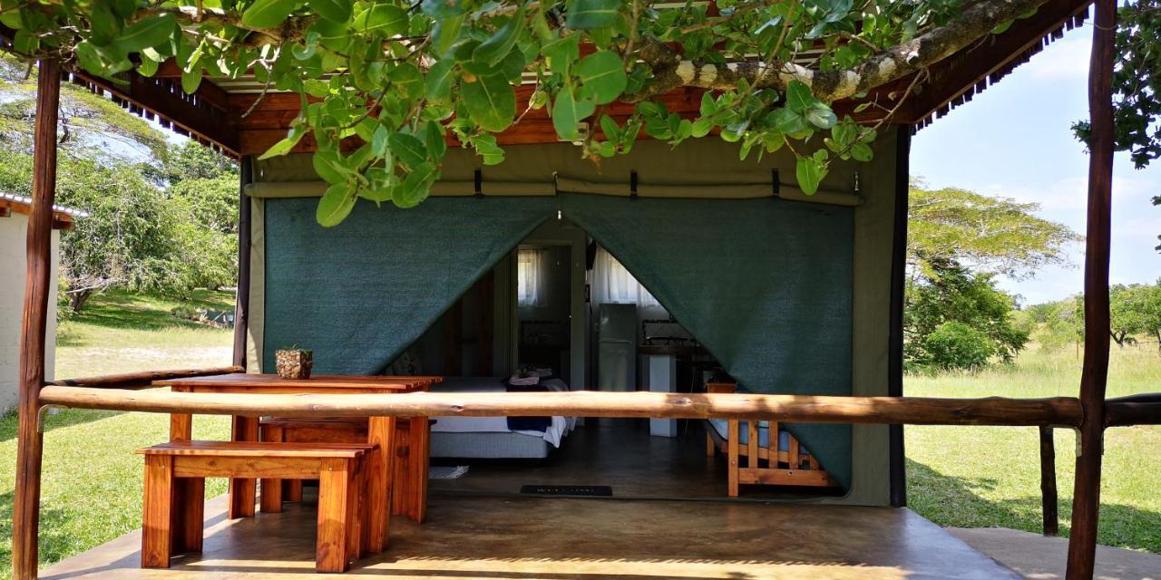 Kingfisher Bush Lodge Enkovukeni 外观 照片