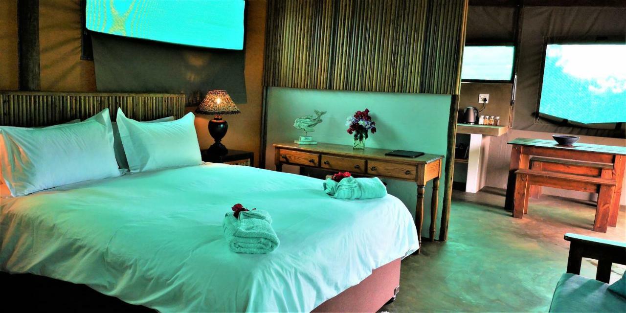 Kingfisher Bush Lodge Enkovukeni 外观 照片